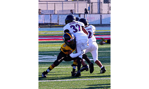TACKLE FOR LOSS